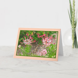 Carte de voeux Pink Spider Flowers