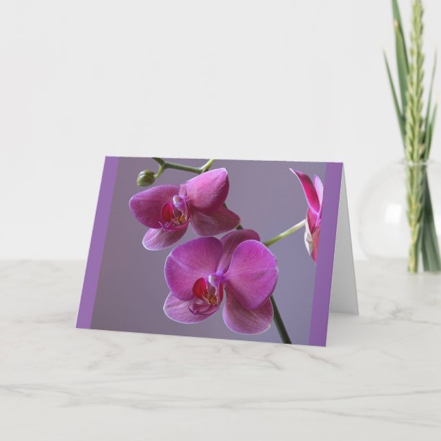 Carte de voeux Pinkish violet phalaenopsis orchidé (Devant)