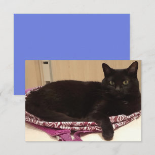 Carte de voeux plat de 3,5 po x 5 po