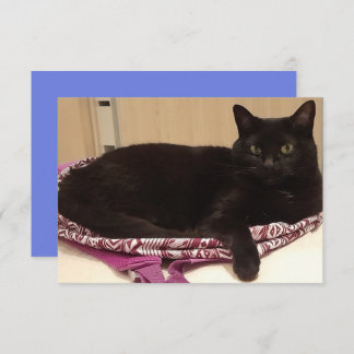 Carte de voeux plat de 3,5 po x 5 po