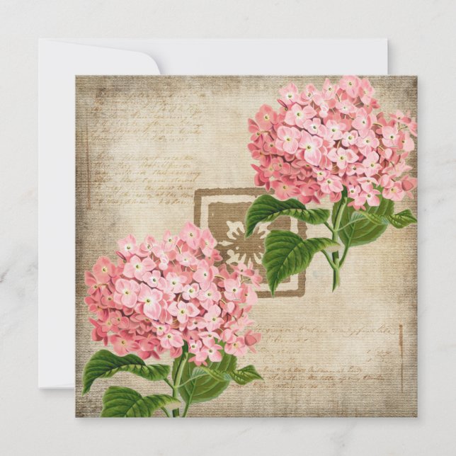 Carte de vœux plate aux grappes d'hortensia rose (Devant)