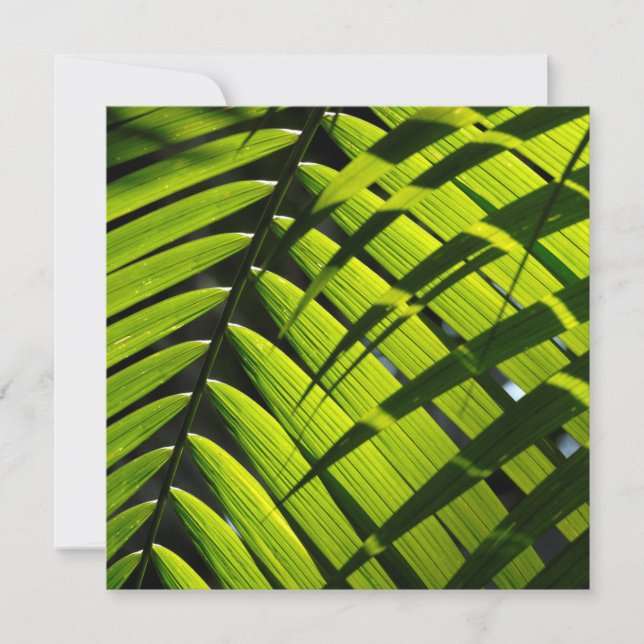Carte de vœux plate avec des feuilles de palmier v (Devant)