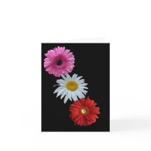 Carte de vœux plate florale mixte colorée Daisy