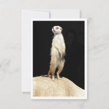 Carte de voeux plate - Meerkat Love