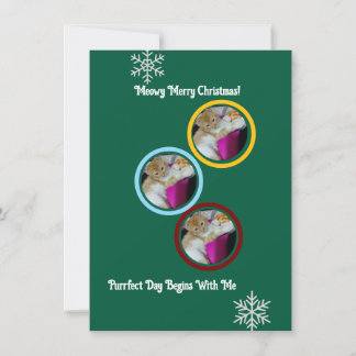 Carte de vœux plate Meowy Merry Christmas