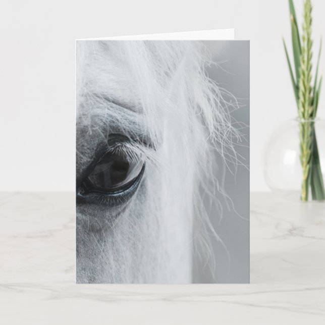 Carte de vœux Platinum Equine (Devant)