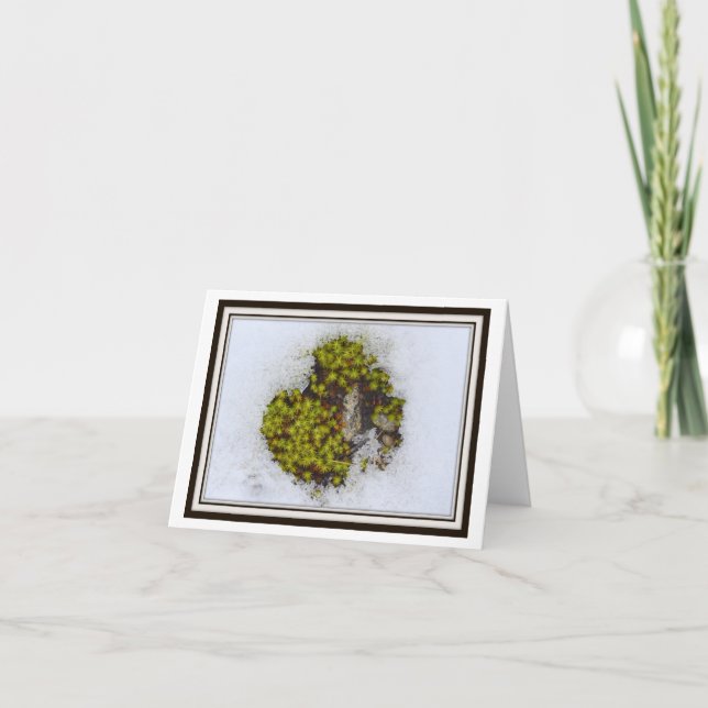 Carte de vœux pliable – Herbe alpine, Autriche (Devant)