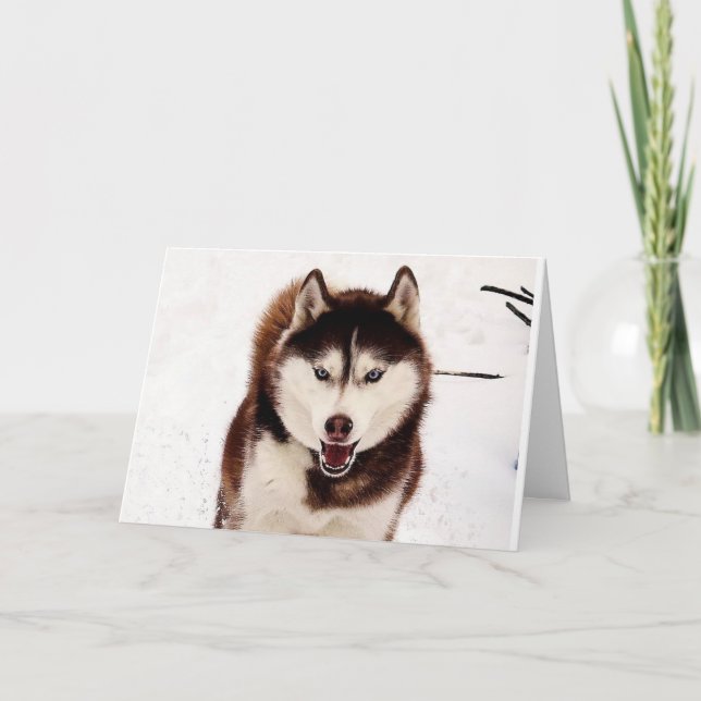Carte de voeux pliable Sibérienne Husky (Devant)