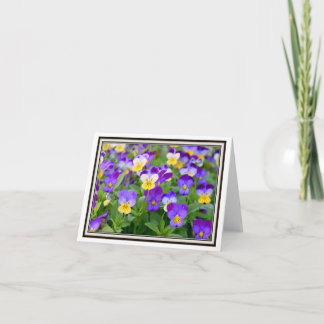 Carte de vœux pliable – Violettes !