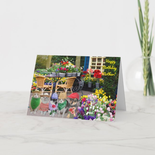 Carte de voeux pliée (Devant)