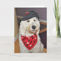 Carte de voeux pliée