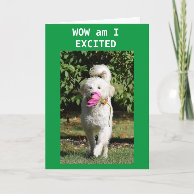 Carte de voeux pliée (Devant)