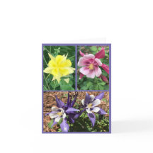 Carte de voeux pliée