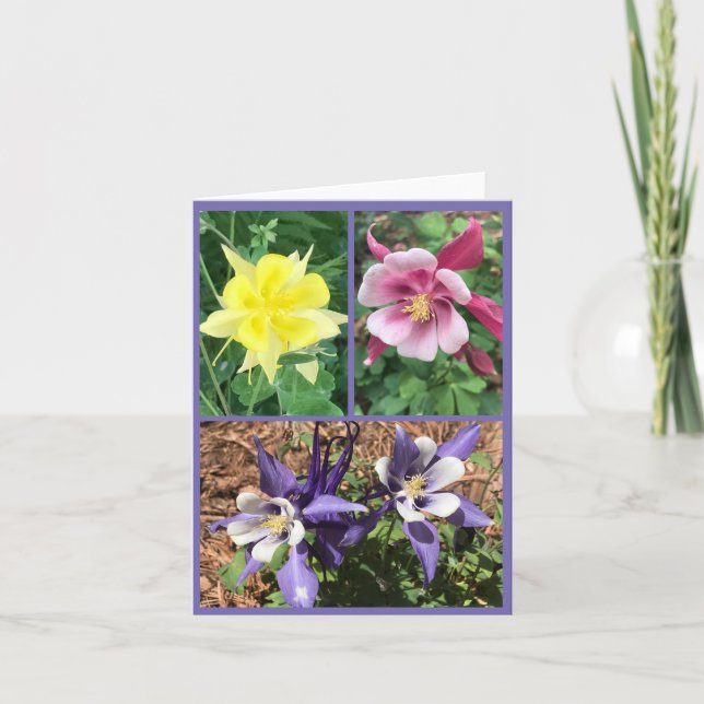 Carte de voeux pliée (Devant)