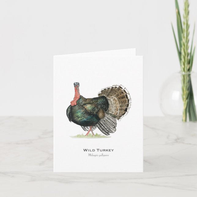 Carte de vœux pliée à la dinde sauvage (Devant)