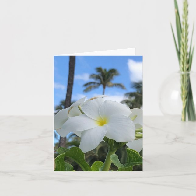 Carte de voeux pliée aux fleurs hawaïennes blanche (Devant)