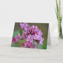 Carte de voeux pliée avec photo de fleur lilas