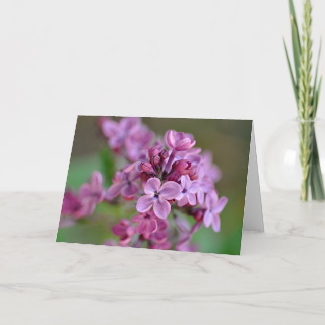 Carte de voeux pliée avec photo de fleur lilas (Devant)