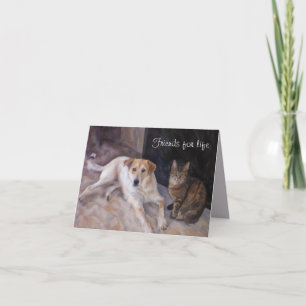 Carte de voeux Pliée BFF Chien Et Chat