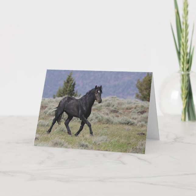 Carte de voeux pliée Black Mustang Stallion (Devant)