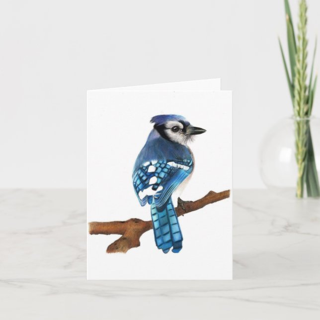 Carte de voeux pliée blanche pour oiseaux Blue Jay (Devant)