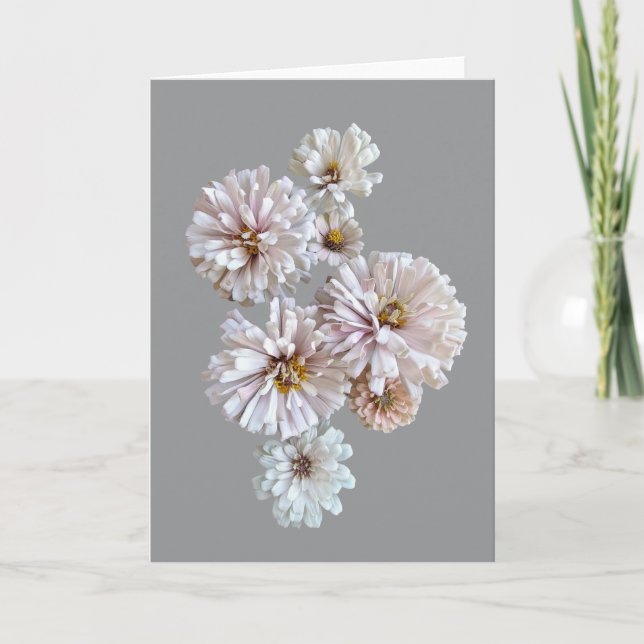 Carte de vœux pliée Blush Zinnia (Devant)