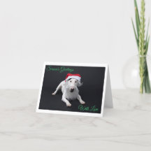 Carte de vœux pliée Bull Terrier Père Noël Noël
