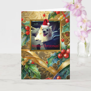 Carte de voeux pliée de 5" x 7" pour animaux de co
