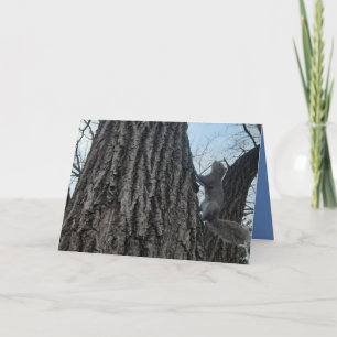 Carte de voeux pliée d'écureuil. Carte