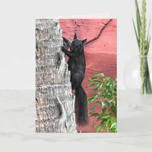 Carte de voeux pliée d'écureuil noir (Devant)