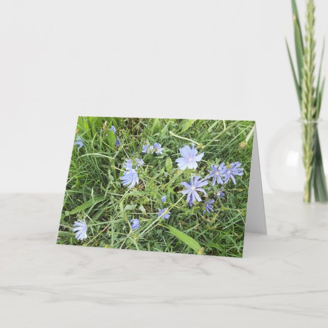 Carte de voeux pliée fleur sauvage (Devant)