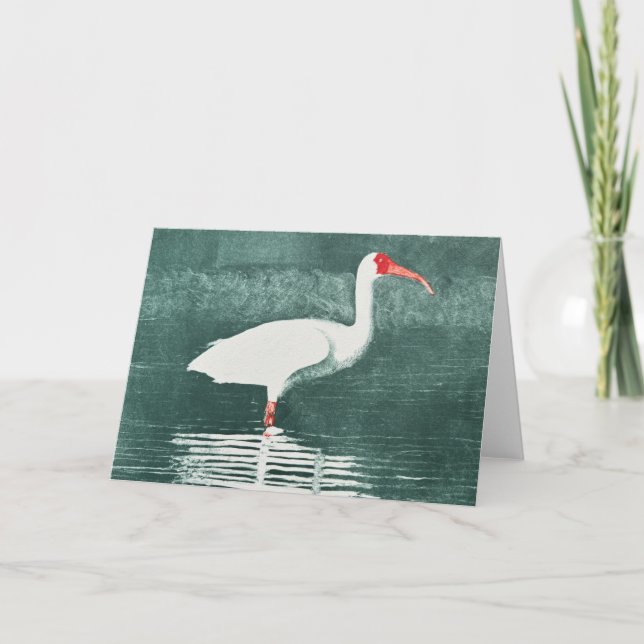 Carte de vœux pliée Ibis d'Amérique (Devant)