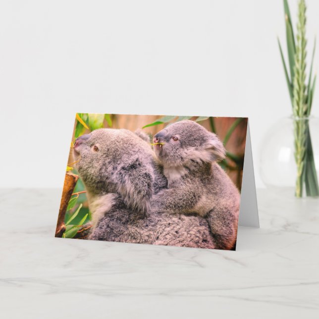 Carte de vœux pliée ours en koala mère et enfant (Devant)