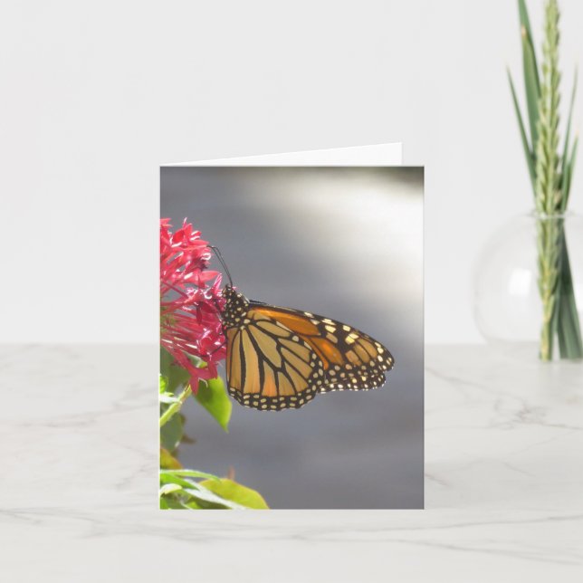 Carte de voeux Pliée Papillon Tropical Vivid (Devant)