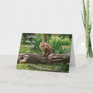 Carte de voeux pliée photo de votre chat manquante