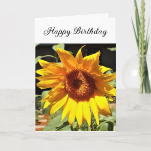 Carte de vœux pliée pour anniversaire Tournesol Jo