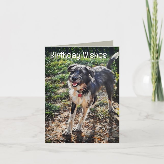 Carte de vœux pliée pour l'anniversaire de Labrado (Devant)