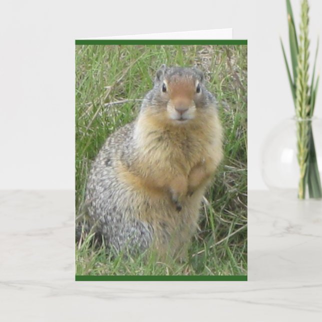 Carte de voeux pliée standard de 5 po x 7 po (Devant)