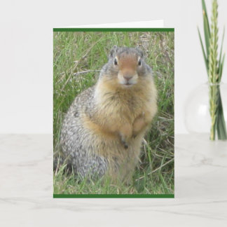 Carte de voeux pliée standard de 5 po x 7 po