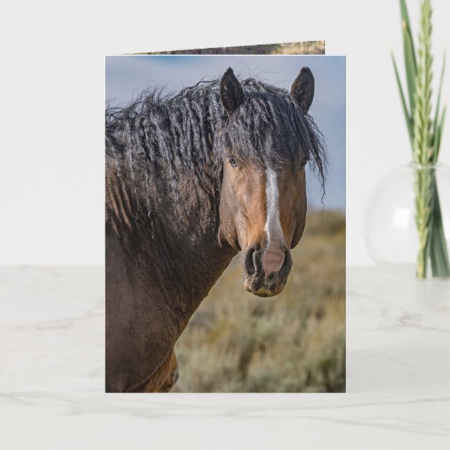 Carte de vœux Portrait de Bello (Devant)