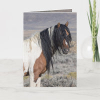 Carte de vœux Portrait de Zephyr Wild Horse