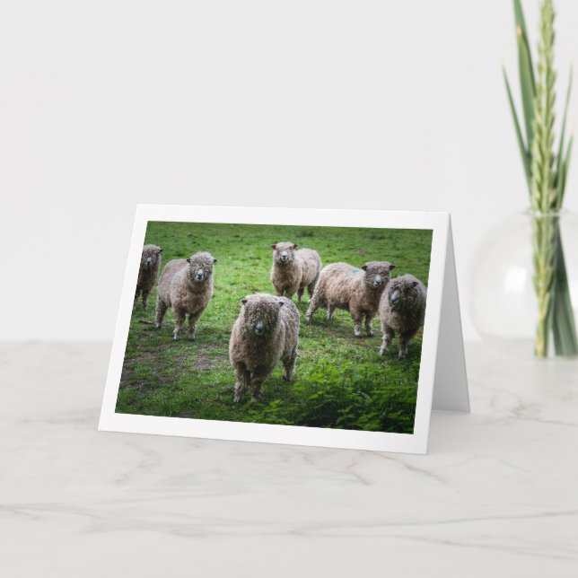 Carte de voeux pour animaux, vide à l'intérieur. (Devant)