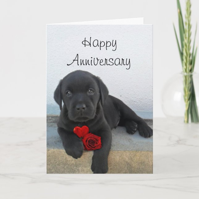Carte de voeux pour anniversaire de chiot Labrador (Devant)