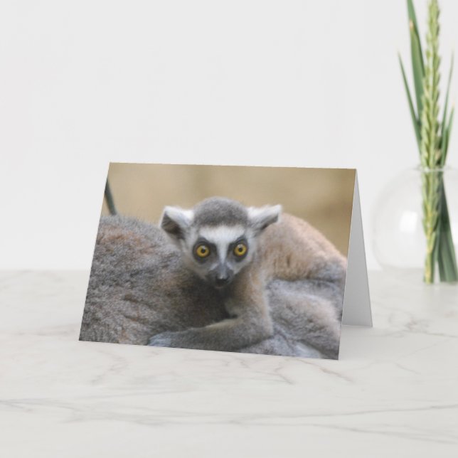 Carte de voeux pour bébé Lemur (Devant)
