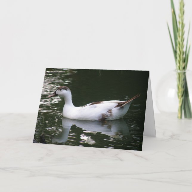 Carte de voeux pour canard mouillé (Devant)