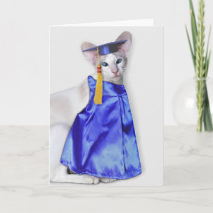 Carte de voeux pour chat