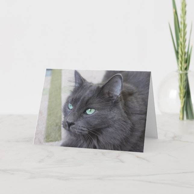 Carte de voeux pour chat gris (Devant)
