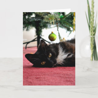 Carte de voeux pour chat Noël