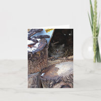 Carte de vœux pour chat sauvage en hiver