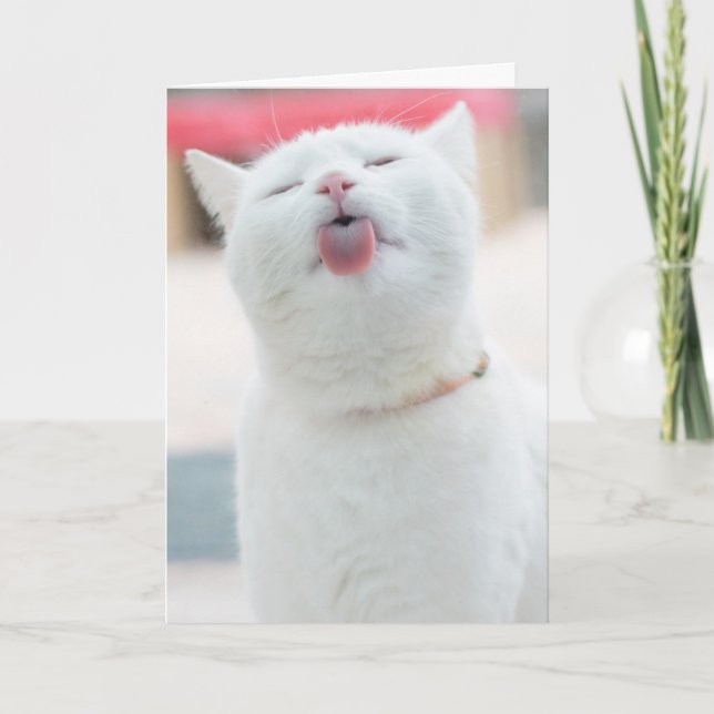 Carte de voeux pour chats (Devant)